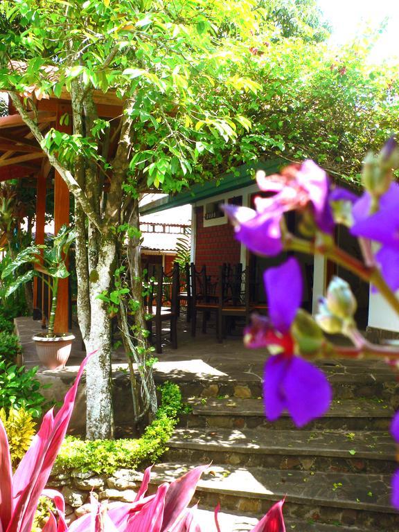 Bubinzana Magical Lodge Tarapoto Luaran gambar